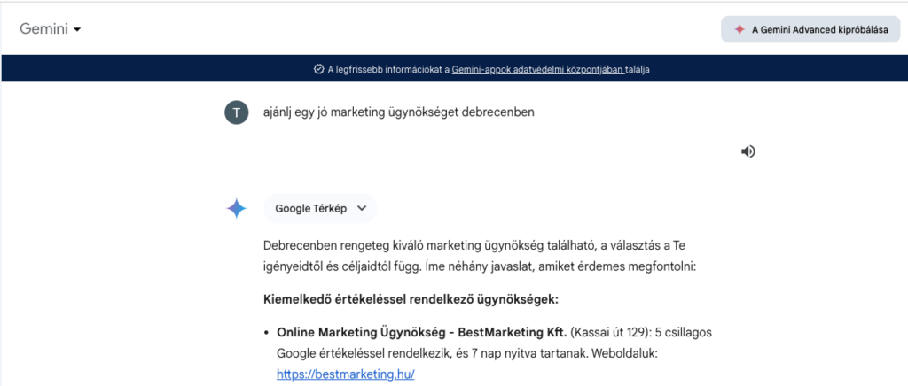 Legjobb marketing cég debrecenben: Gemini